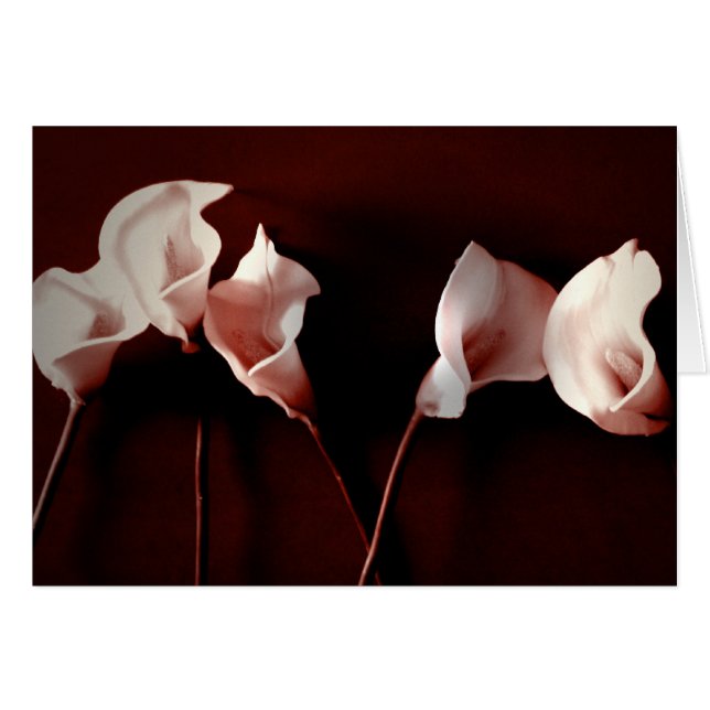 Cartão Amor do lírio (Frente Horizontal)