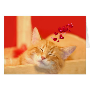 Cartão Amor gatinho até em sonhos