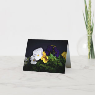 Cartão Amor-Perfeito Branco, Amarelo e Roxo