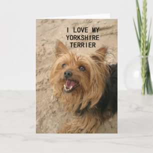 Cartão amor por yorkshire terrier com foto preto e castan