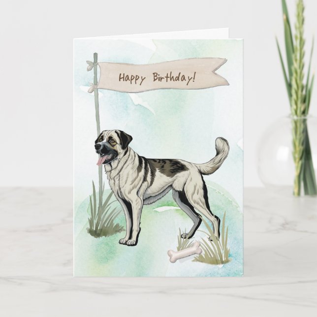 Cartão Anatólia Shepherd Breed Dog Sob Sinal De Aniversár (Frente)