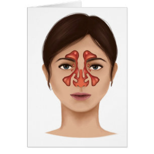Cartão Anatomia de cavidades nasais