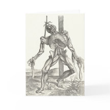 Anatomia de esqueleto do cadáver do cadáver médica