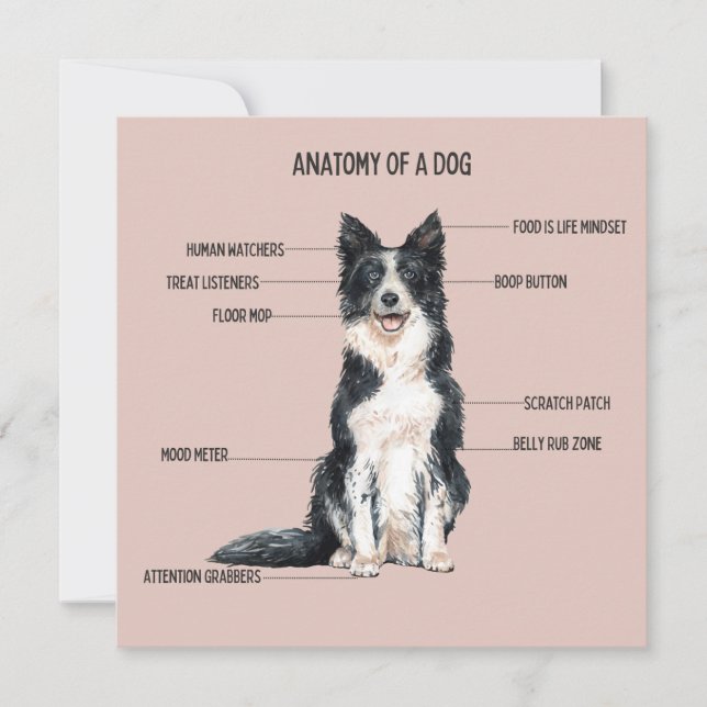 Cartão Anatomia de um Cachorro (Frente)