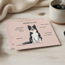 Anatomia de um Cachorro