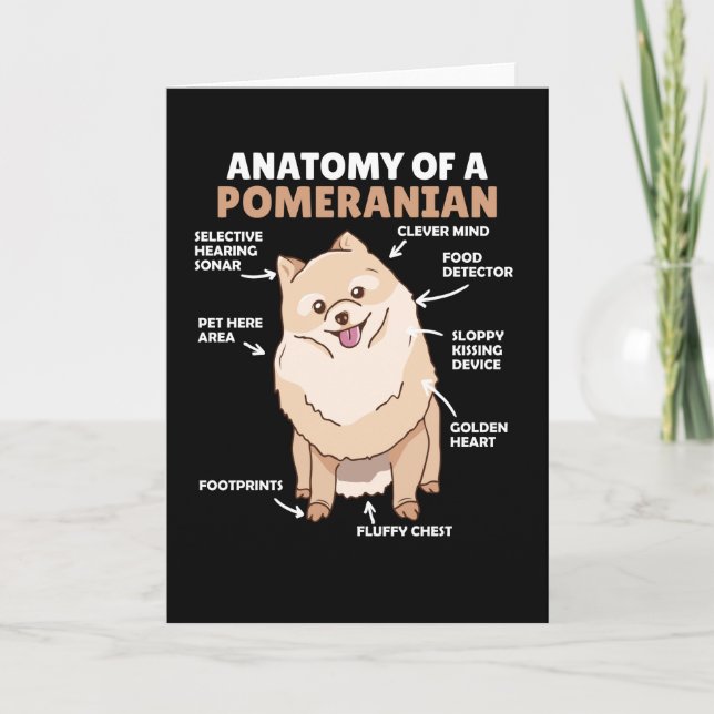 Cartão Anatomia De Um Cachorro Pomerano Cute Puppy (Frente)