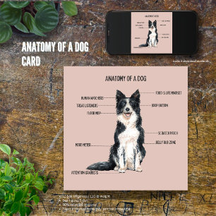 Cartão Anatomia de um Cão