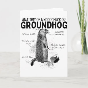 Cartão Anatomia de um esquilo ou marmota Animal engraçado