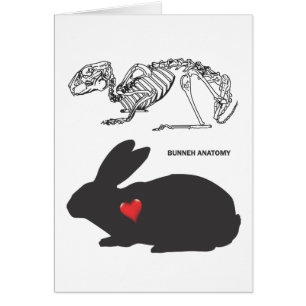 Cartão Anatomia do coelho