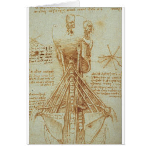 Cartão Anatomia do pescoço por Leonardo da Vinci C. 1515