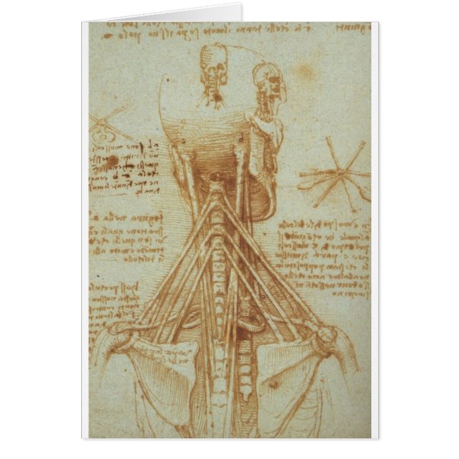 Cartão Anatomia do pescoço por Leonardo da Vinci C. 1515 (Frente)