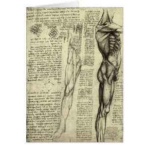 Cartão Anatomia Humana Masculina por Leonardo da Vinci