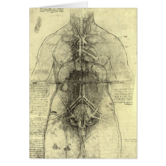 Cartão Anatomia humana, mulher Torso por Leonardo da Vinc (Frente)
