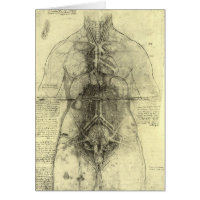 Anatomia Humana, Tronco Feminino por Leonardo da V