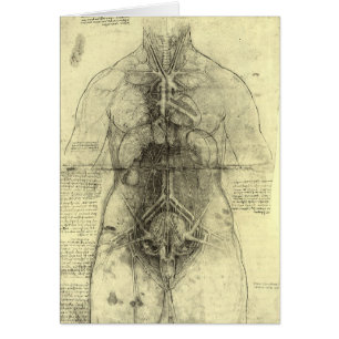 Cartão Anatomia Humana, Tronco Feminino por Leonardo da V