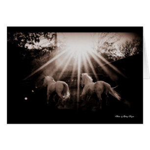 Cartão Andalusian Run~ do ~Run