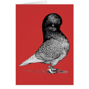 Cartão Andaluz Tumbler