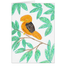 Cartão Andean CockOfTheRock (Rupicola peruvianus)