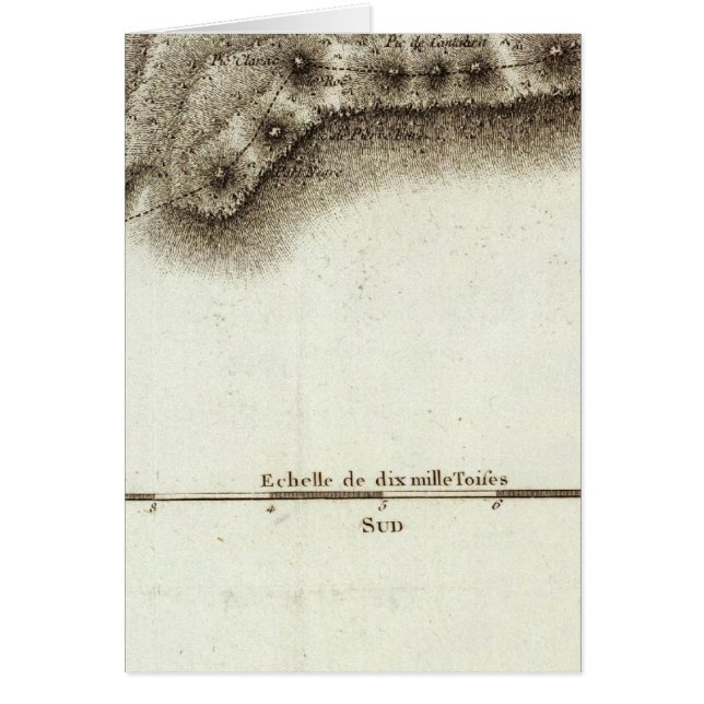 Cartão andorinha (Frente)