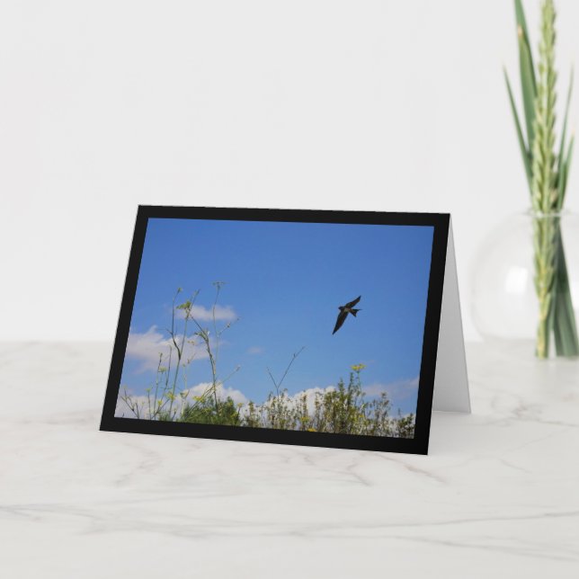 Cartão Andorinha-das-ceuves em Voo (Frente)