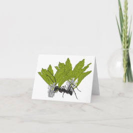 Cartão Andrew, a formiga