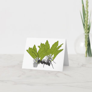 Cartão Andrew, a formiga