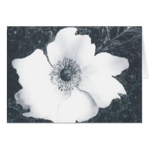 Anêmona japonesa.