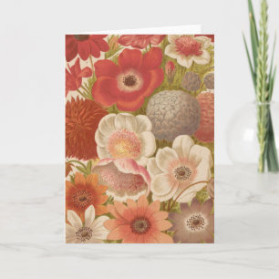 Cartão Anemone   George Nicholson