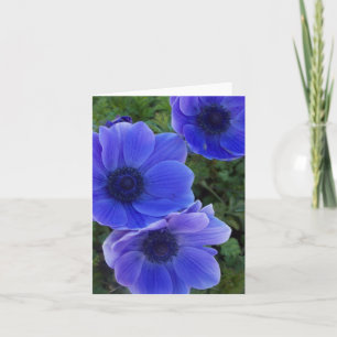 Cartão Anemones