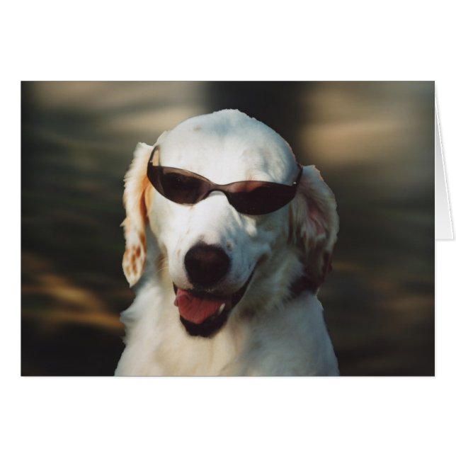 Cartão Angel Eyes (Frente Horizontal)