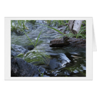 Cartão Angra entre Kibbie & lagos flora