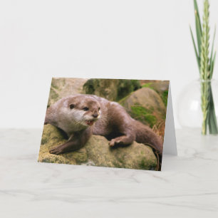 Cartão Angry Otter Greeting Cards