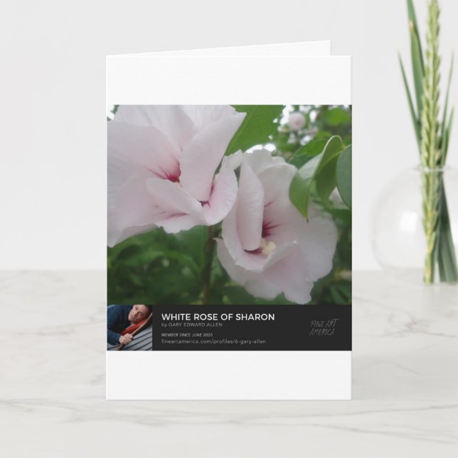 Cartão Ângulos (Frente)