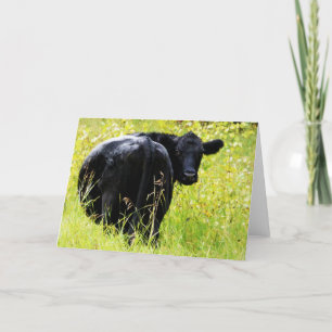 Cartão Ângus Steer na Grama Amarelo Alto