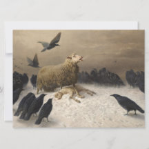 Angústia: Ovelha com um Cordeiro Morto