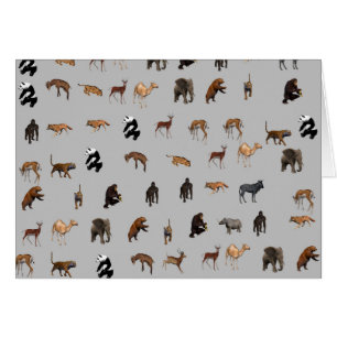 Cartão Animais