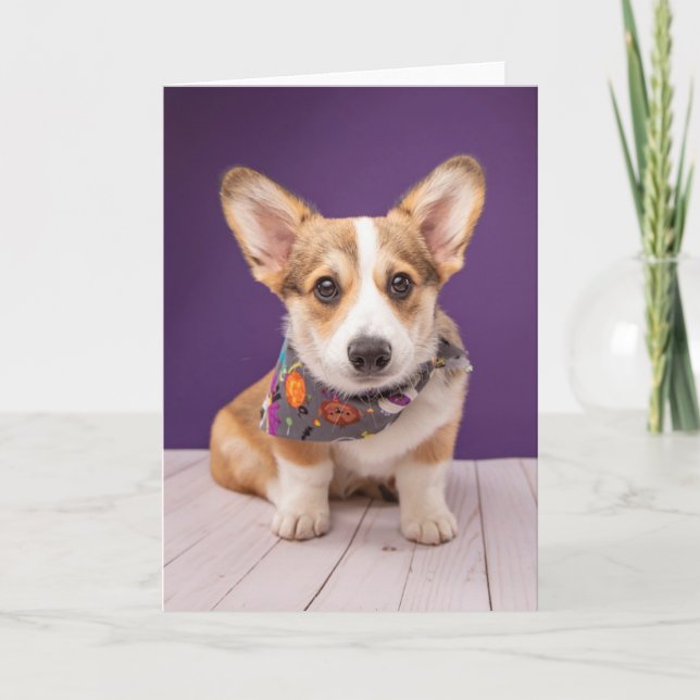 Cartão Animais Bebês Mais Fofos | Corgi de Halloween (Frente)