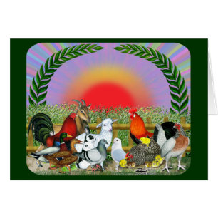 Cartão Animais de exploração