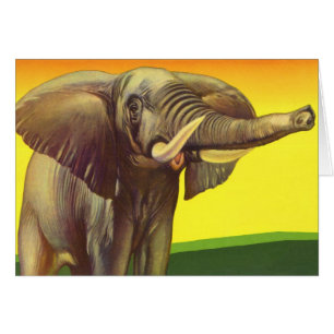 Cartão Animais Selvagens Vintage, Elefante Africano com P