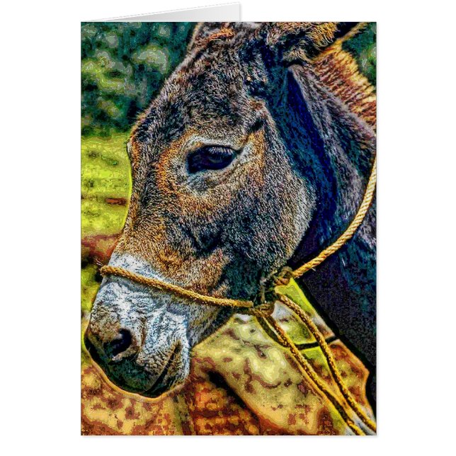 Cartão Animal19 (Frente)