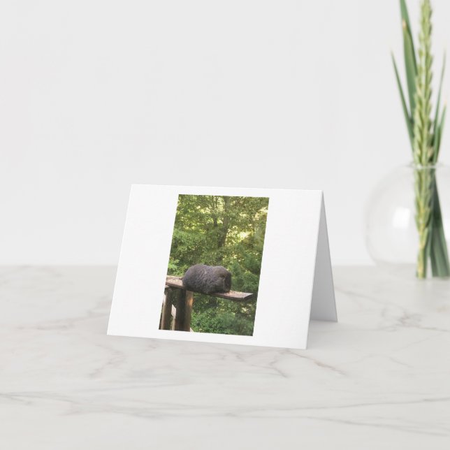 Cartão animal bonito para alguém que você se (Frente)