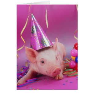 Cartão Animal de festa!