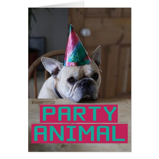 Cartão Animal de partido! (Frente)