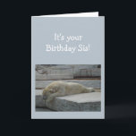 Cartão Animal do urso polar do humor da idade do<br><div class="desc">Aniversário Blahs para sua idade do divertimento da irmã apenas porque você teve o muito ele.  Arte deprimida cómico do animal do urso polar</div>