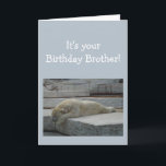Cartão Animal do urso polar do humor da idade do<br><div class="desc">Aniversário Blahs para sua idade do divertimento do IRMÃO apenas porque você teve o muito ele.  Arte deprimida cómico do animal do urso polar</div>