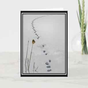 Cartão Animal Tracks Note Card