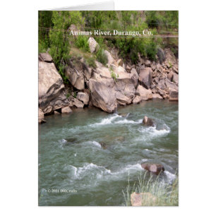 Cartão Animas River Rapids
