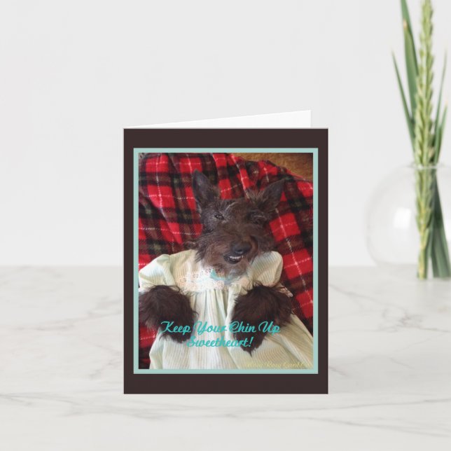 Cartão Anime-se (Frente)