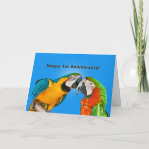 Cartão Aniversário, 1º, Papagaios Amorosos