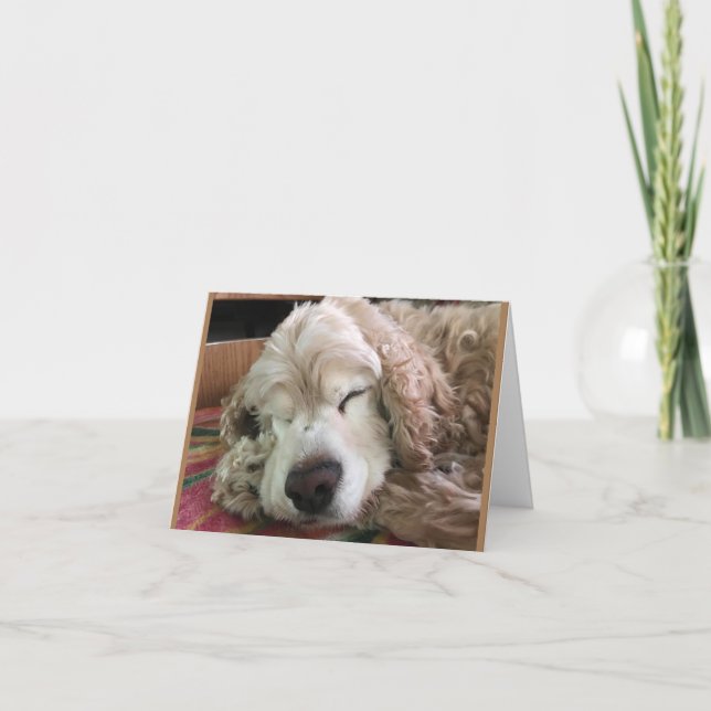 CARTÃO * ANIVERSÁRIO 70* HA HA HA (HUMOR ENGRAÇADO DE CAC (Frente)